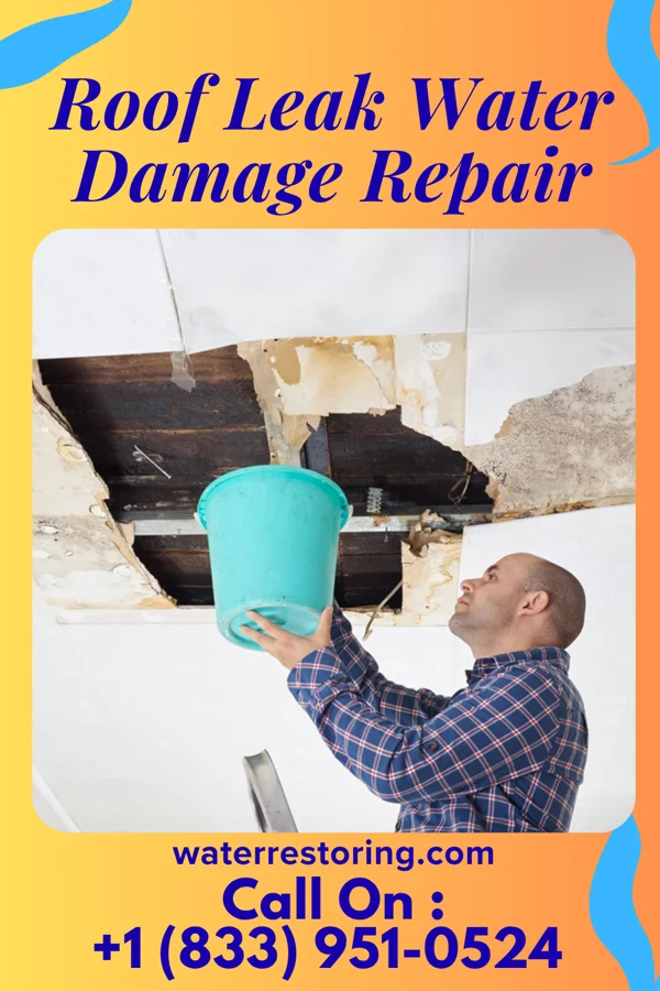 Roof Leak Water Damage Repair in Clinton, KY