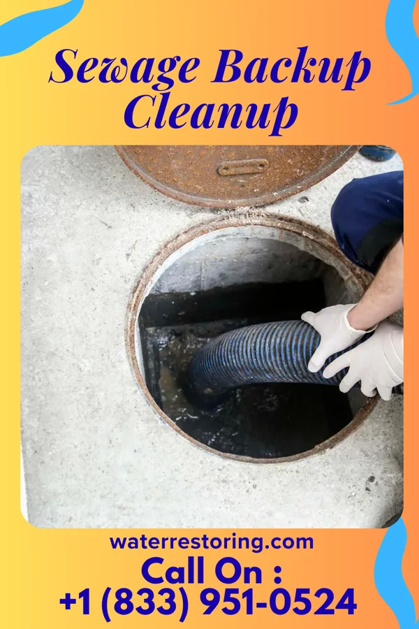 Sewage Backup Cleanup in Clinton, KY