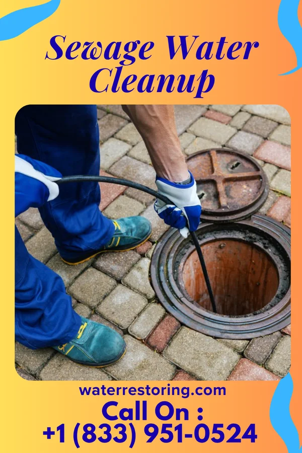 Sewage Water Cleanup in Clinton, KY